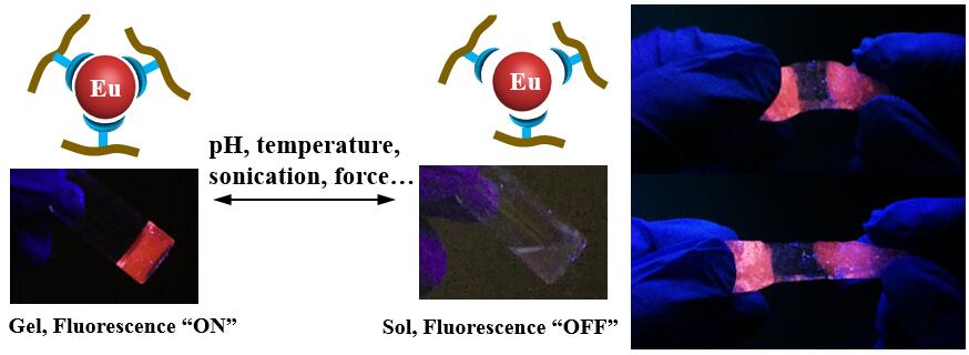 Dynamic coordination of Eu-iminodiacetate to control fluorochromic response of polymer hydrogels to multistimuli