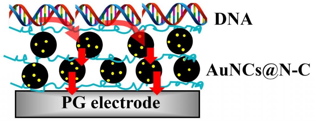 Electrocatalytic oxidation of alcohols, tripropylamine, and DNA by ligand-free gold nanoclusters on nitrided carbon